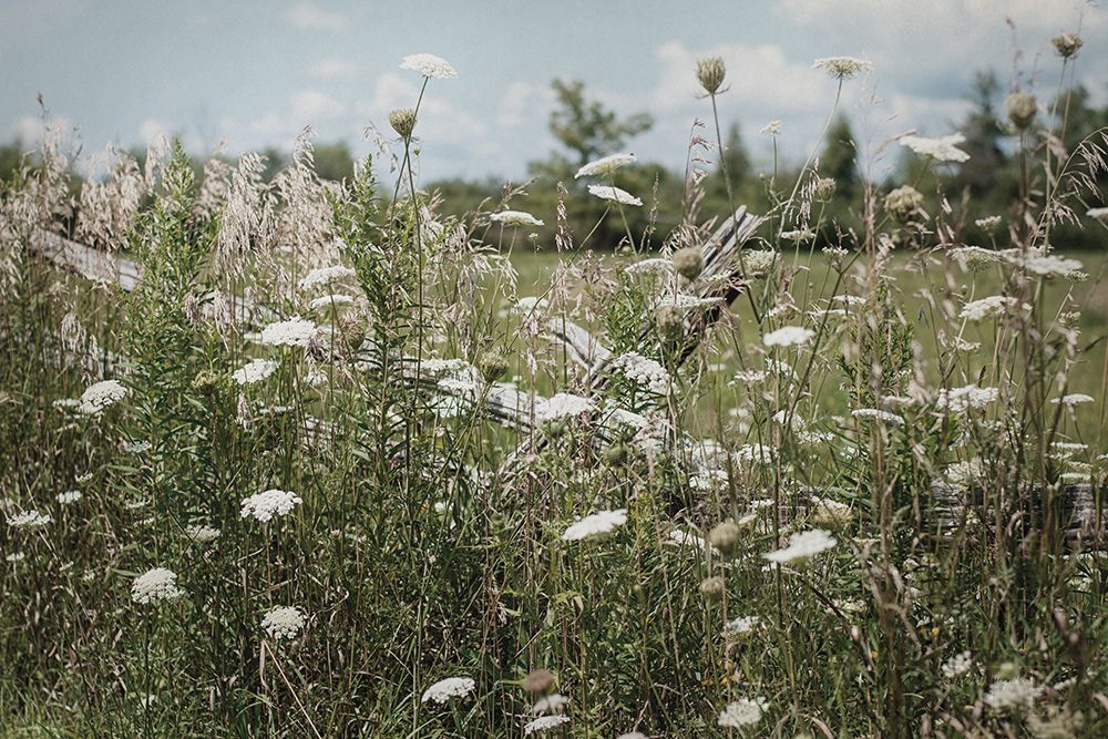 Similar wall art painting: 262063