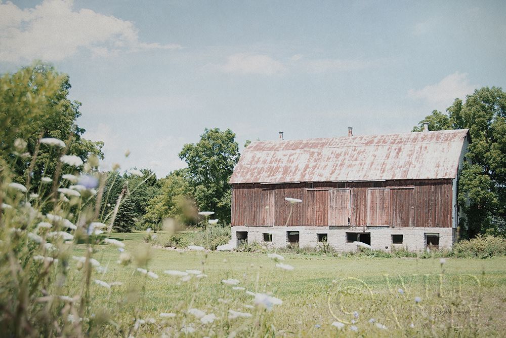 Art Print: Sun Drenched IV