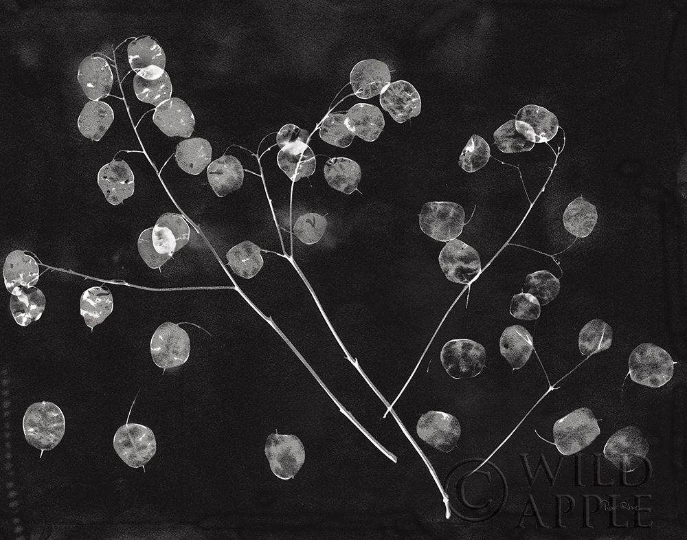 Art Print: Nature by the Lake Honesty Black Crop