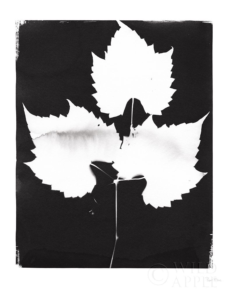 Art Print: Nature by the Lake Leaves I Black