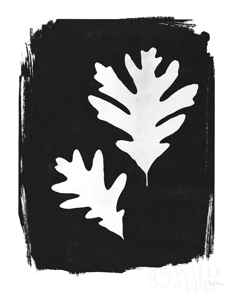 Art Print: Nature by the Lake Leaves IV Black