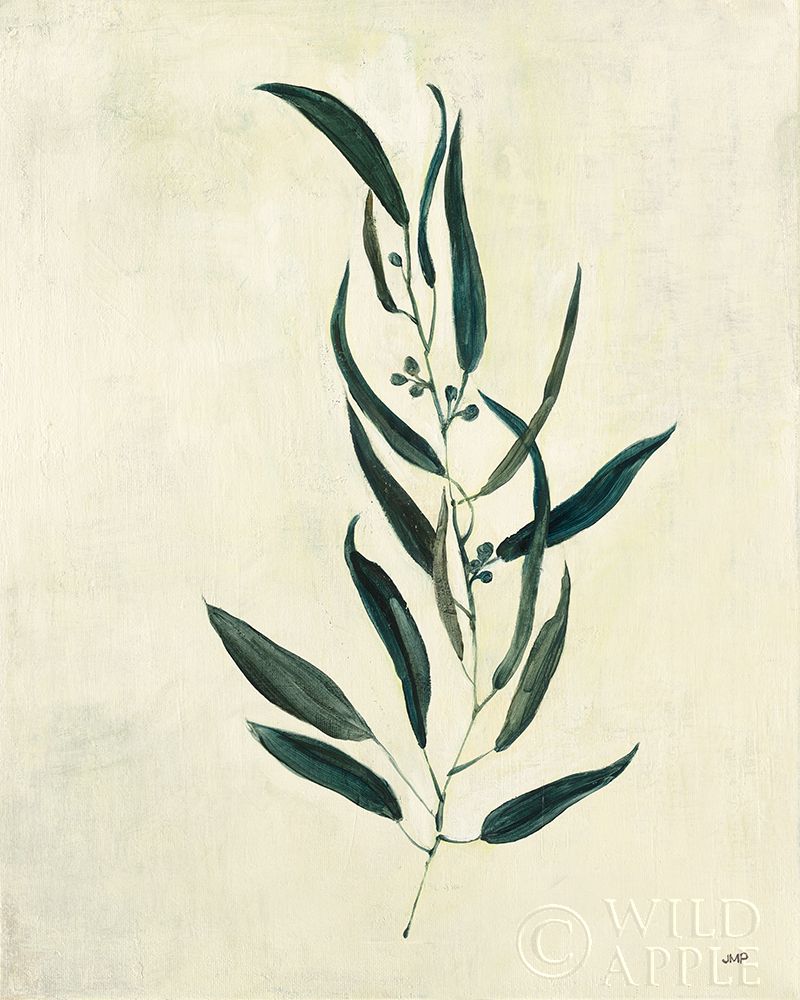 Art Print: Botanical Study VI