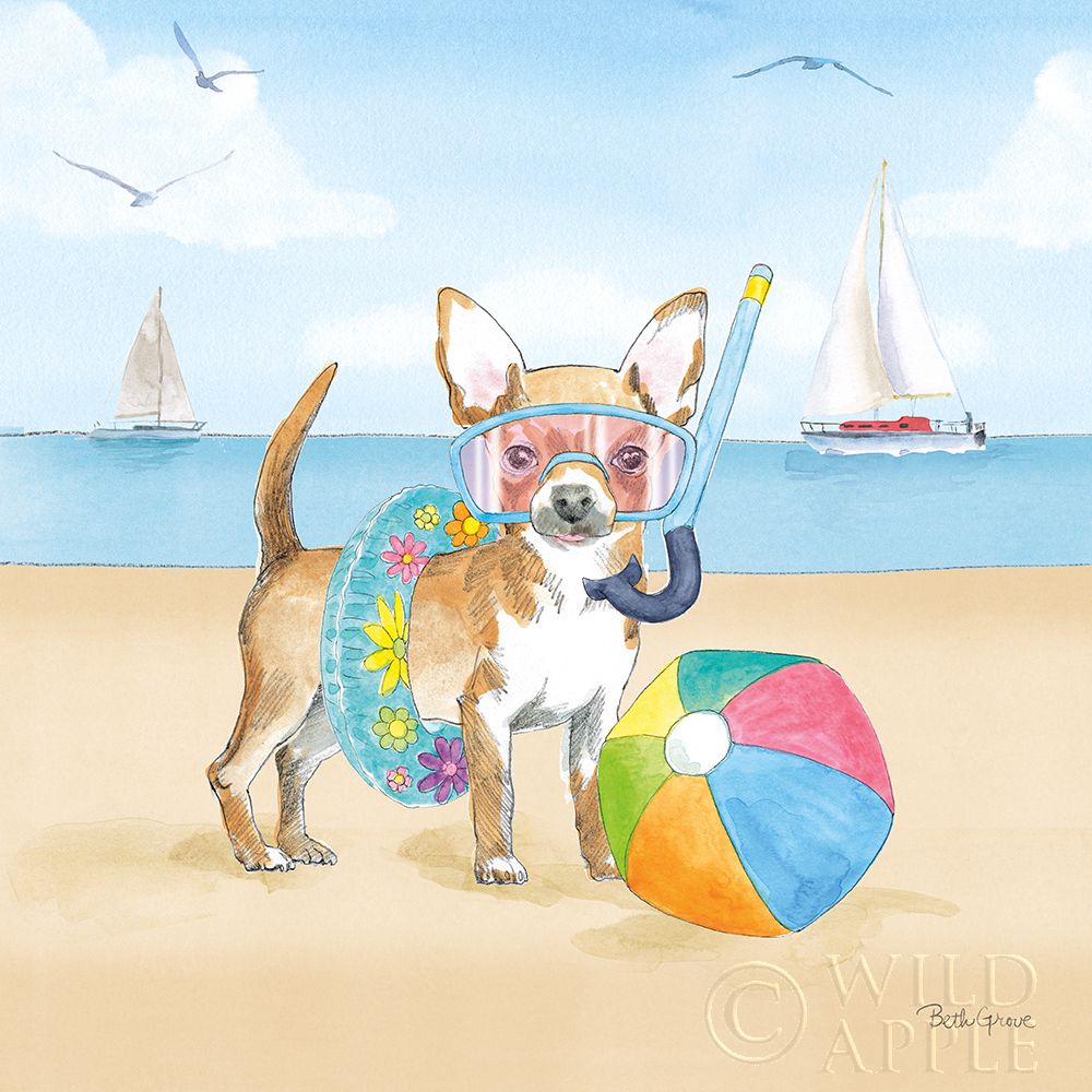 Art Print: Summer Paws II No Words