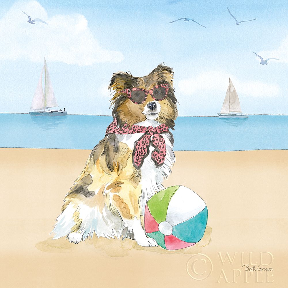 Art Print: Summer Paws V No Words