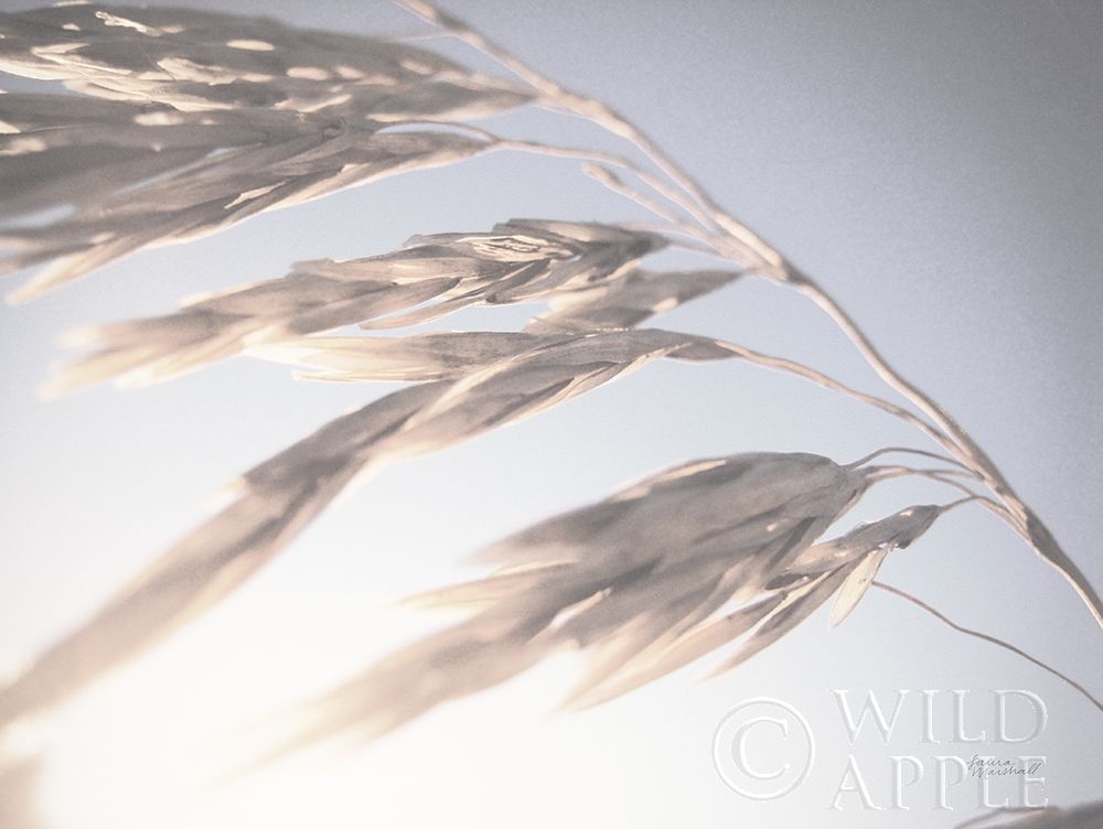 Similar wall art painting: 304666