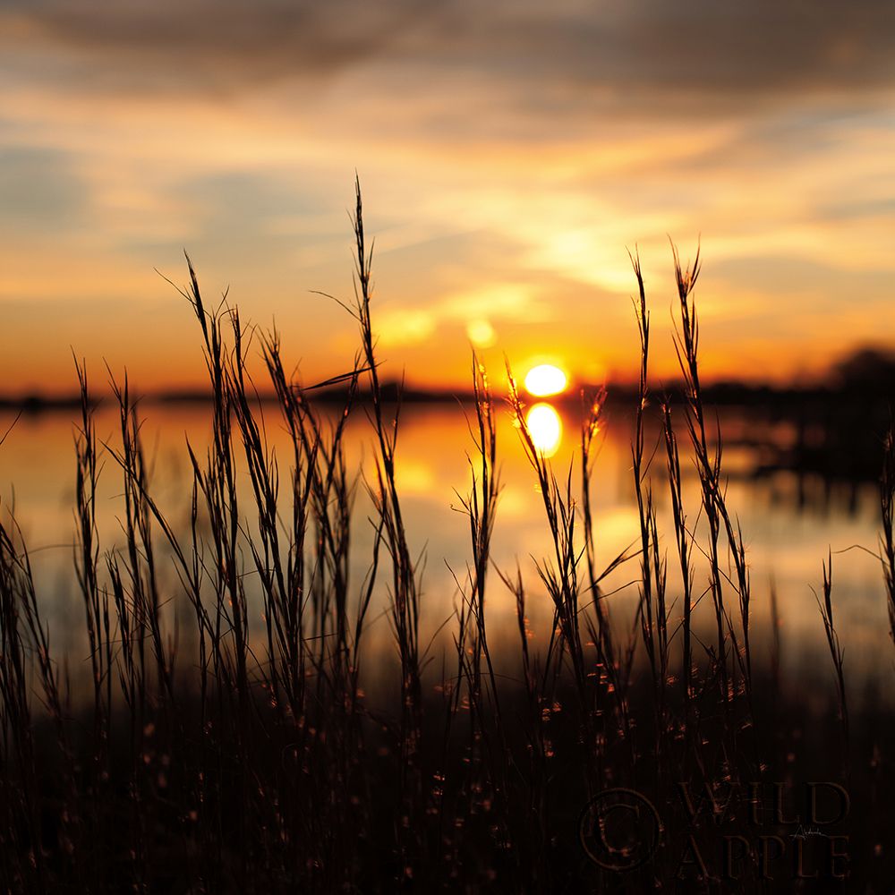 Art Print: Maryland Sunset II