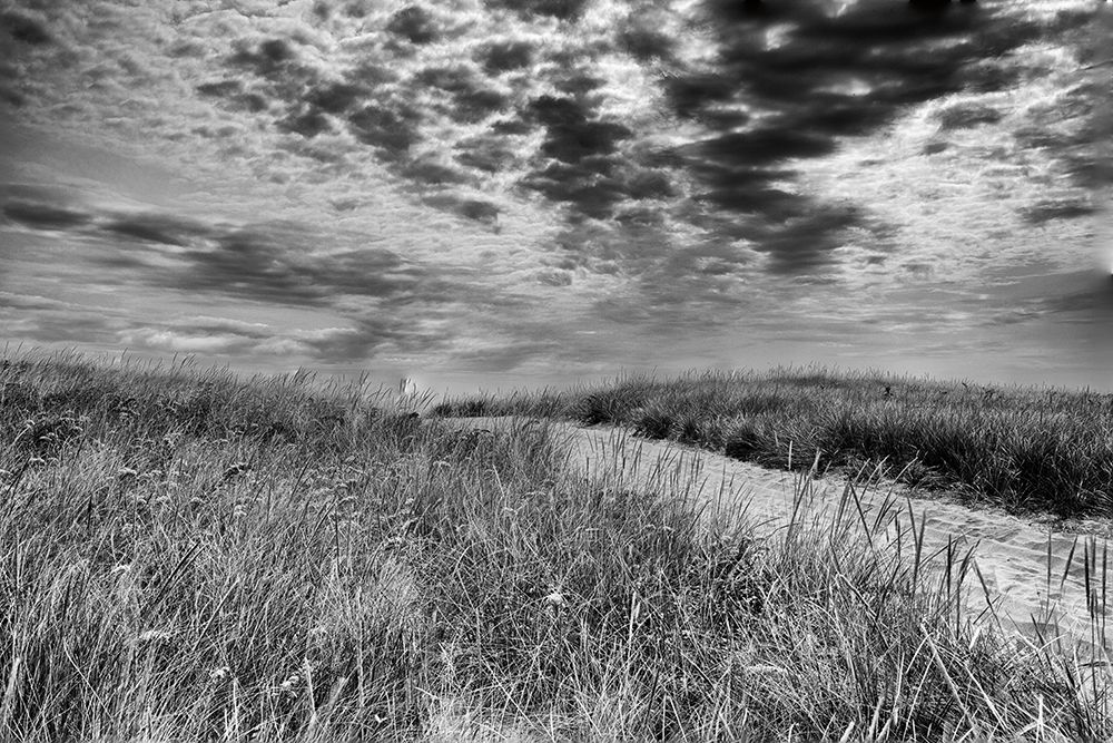 Art Print: Nantucket Dunes