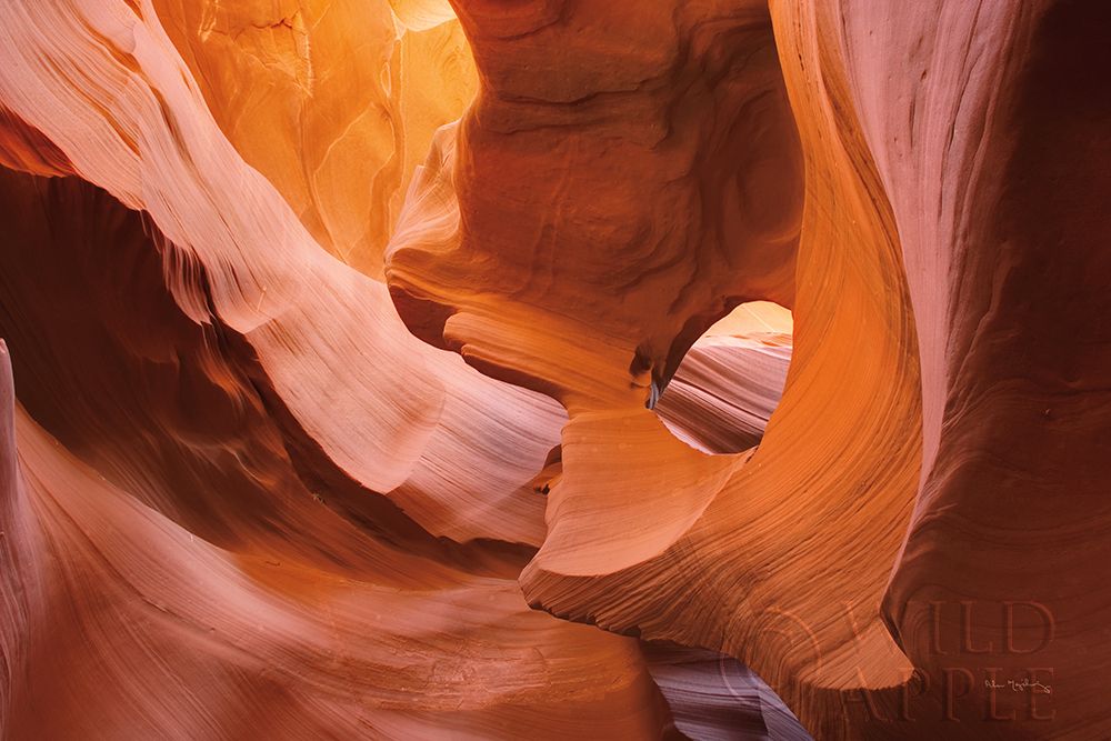 Art Print: Lower Antelope Canyon II