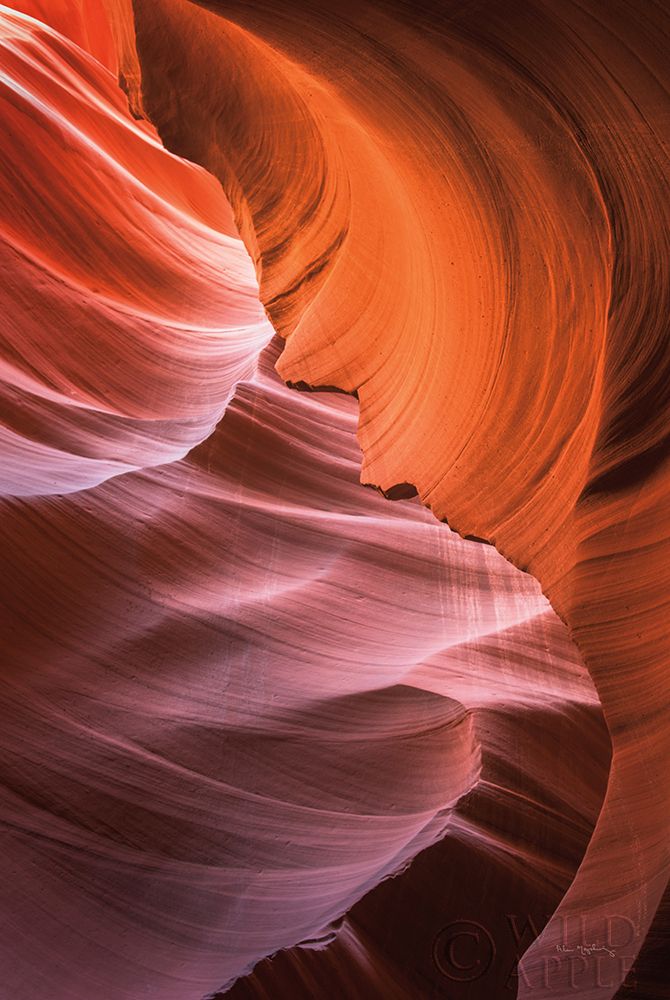 Wall art: Lower Antelope Canyon VIII, by Majchrowicz, Alan