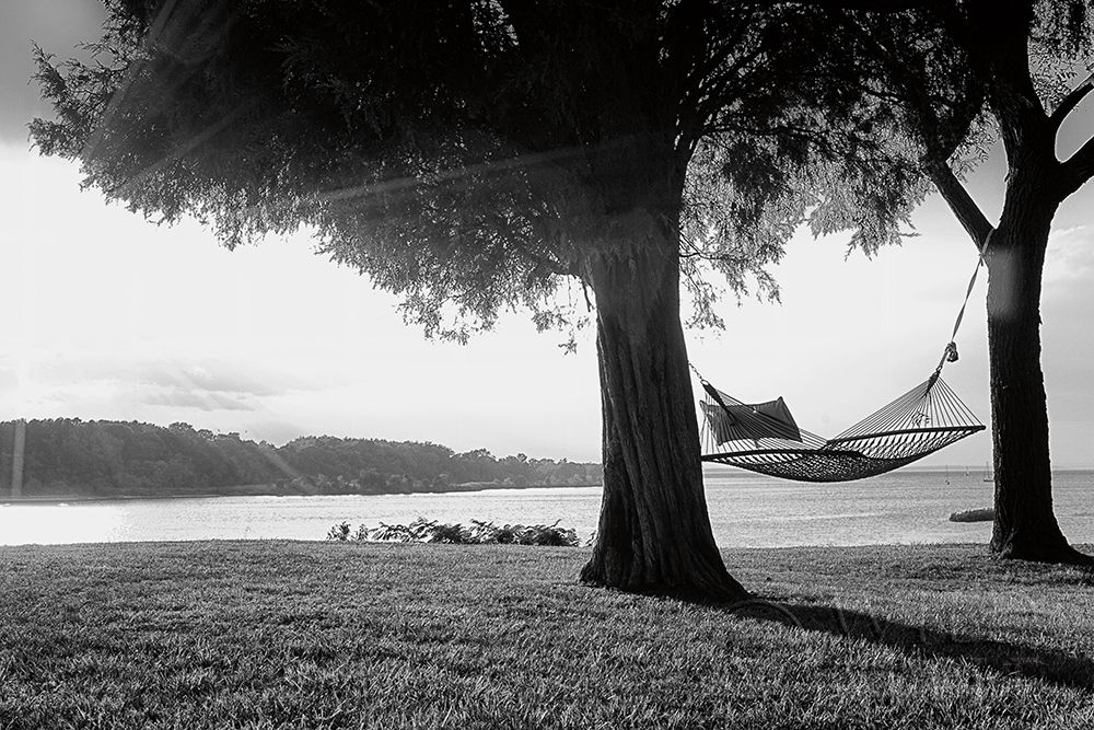 Art Print: Summer Reprise