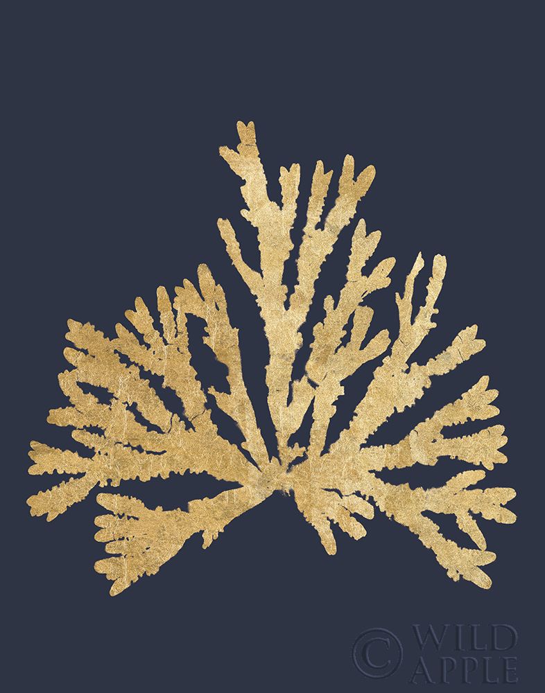 Wall art: Pacific Sea Mosses IV Indigo, by Wild Apple Portfolio