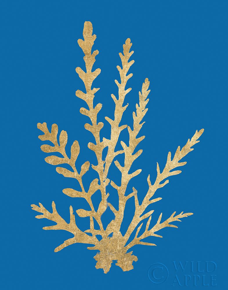 Wall Art Painting id:308438, Name: Pacific Sea Mosses III Blue, Artist: Wild Apple Portfolio
