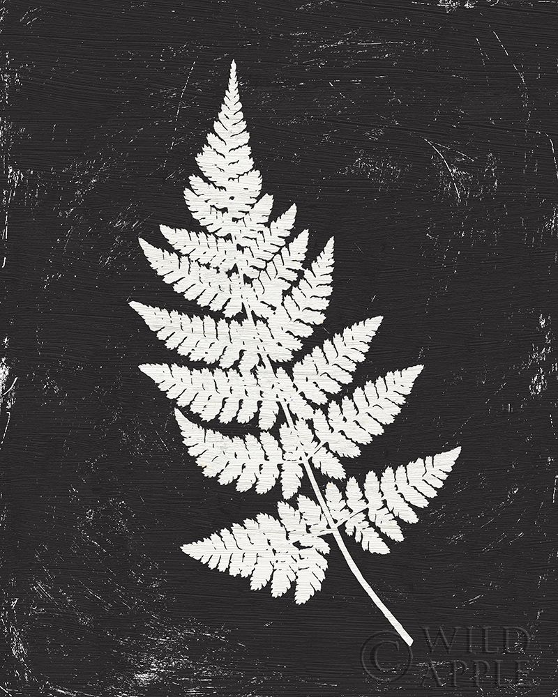 Art Print: Forest Shadows I Black Crop