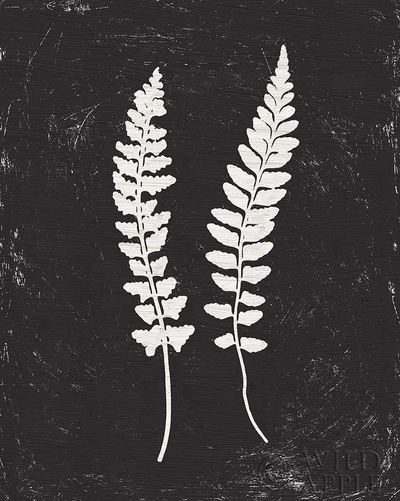 Art Print: Forest Shadows III Black Crop