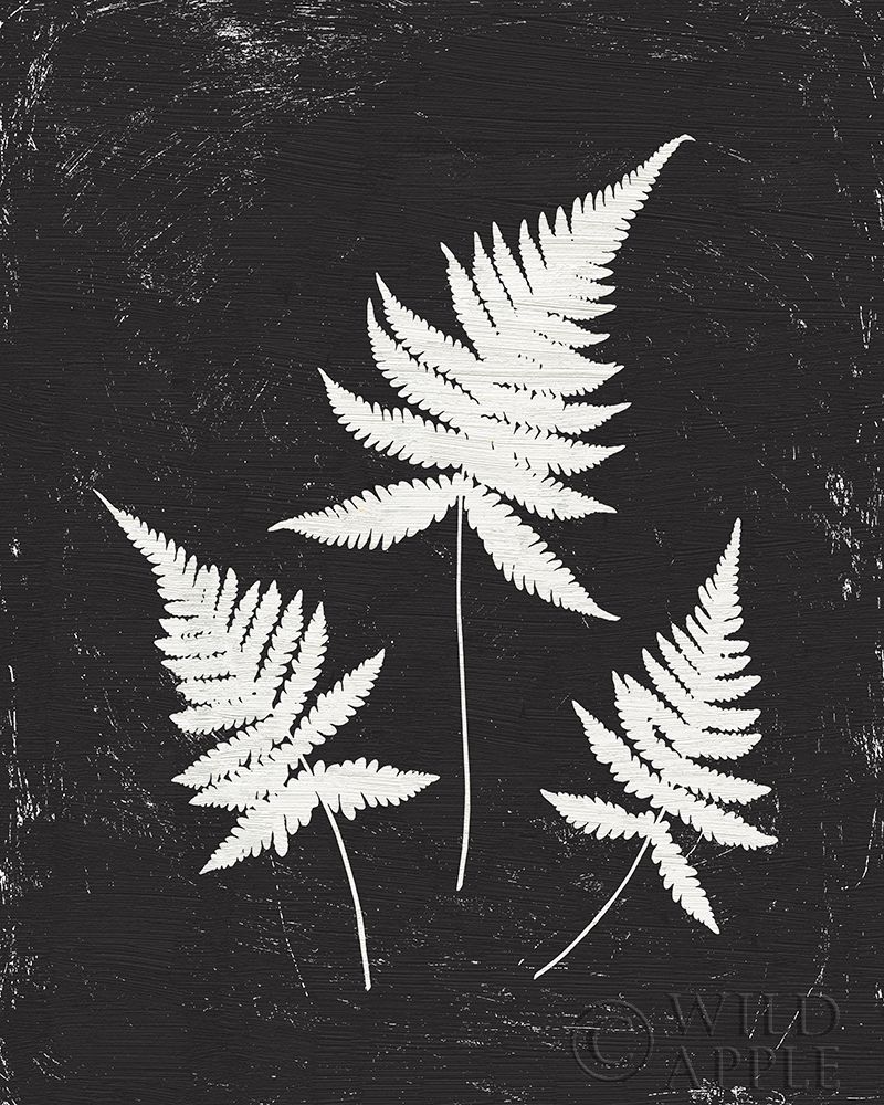 Art Print: Forest Shadows IV Black Crop