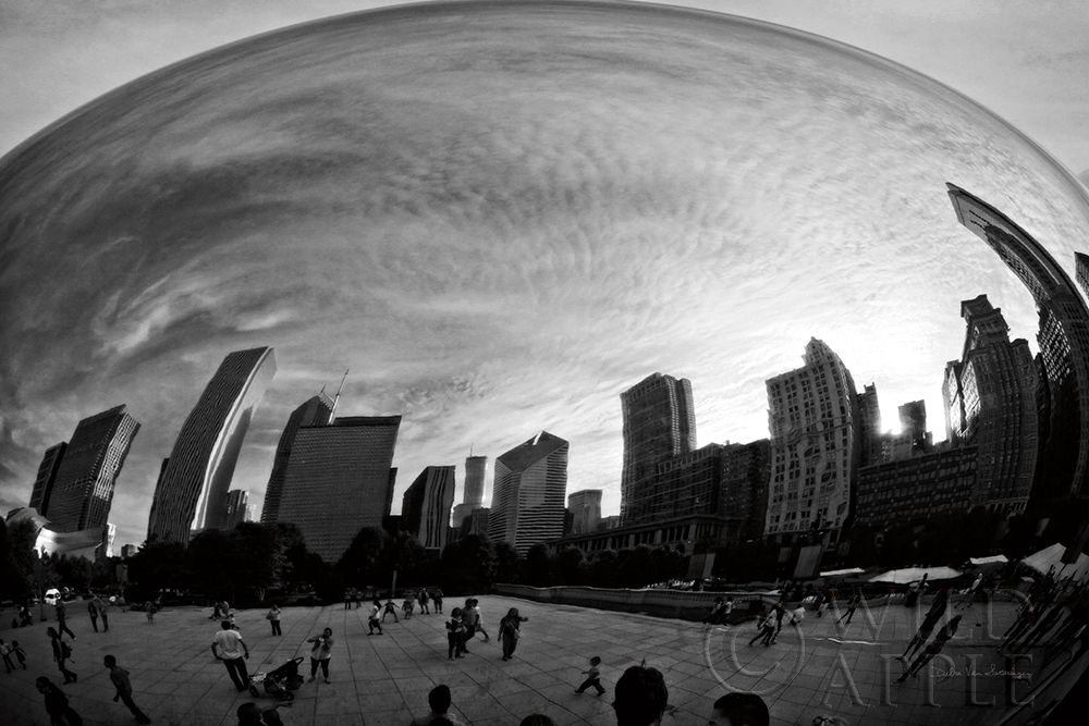 Wall Art Painting id:281789, Name: The Bean Chicago BW, Artist: Van Swearingen, Debra