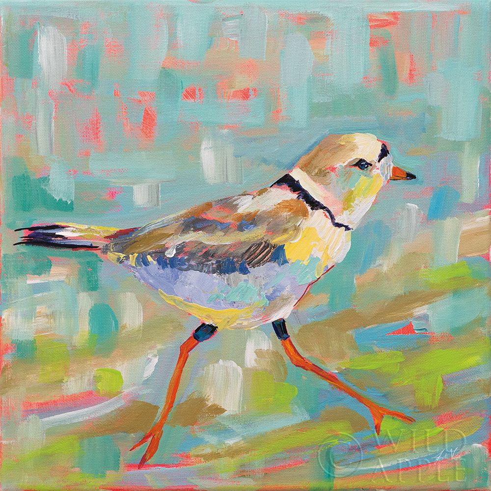 Art Print: Coastal Plover I