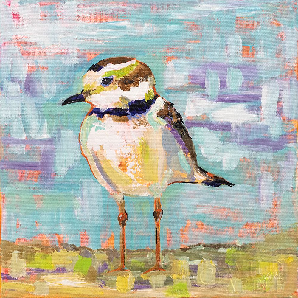 Art Print: Coastal Plover II