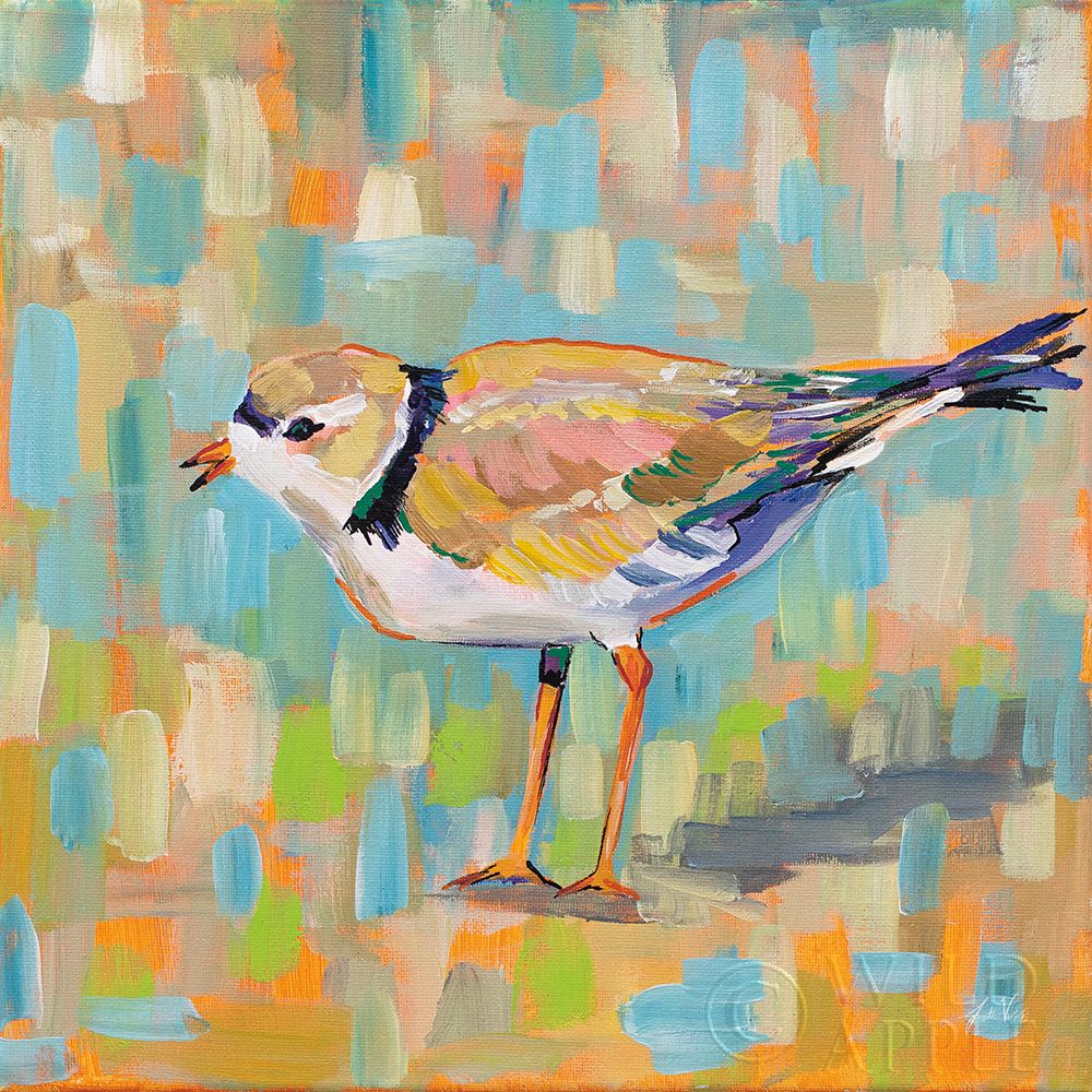 Art Print: Coastal Plover IV