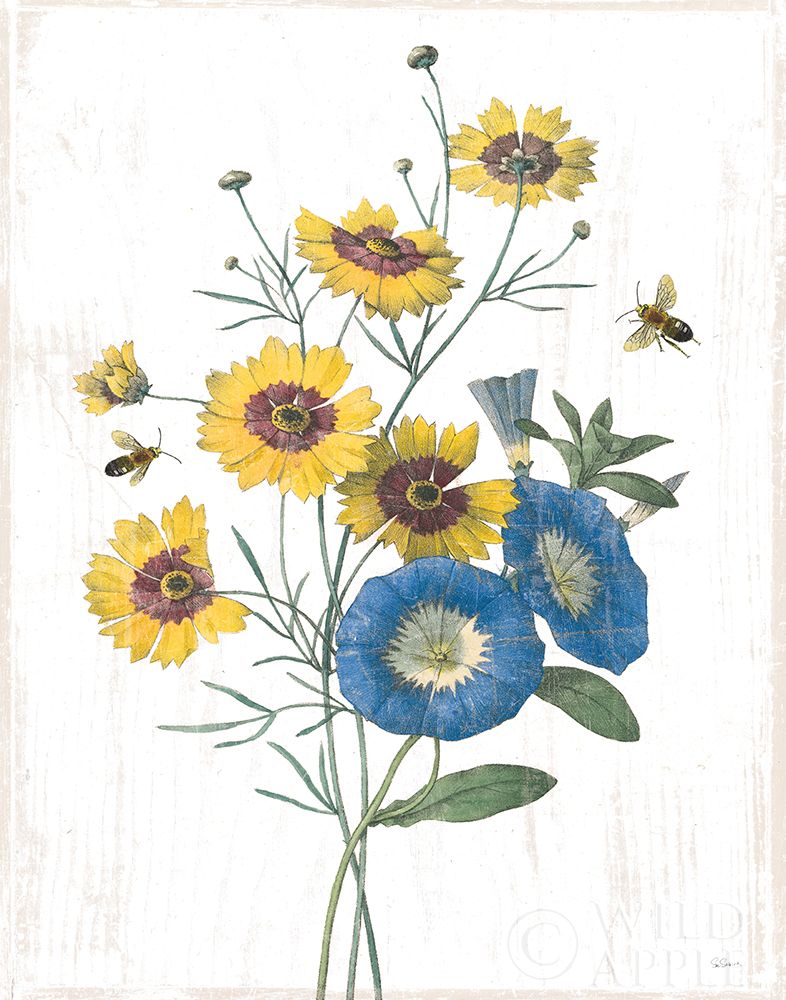 Wall Art Painting id:308604, Name: White Barn Flowers VIII, Artist: Schlabach, Sue