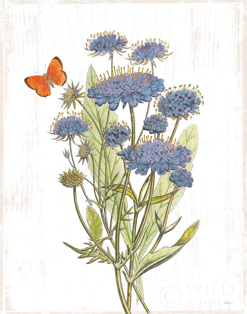 Wall Art Painting id:308605, Name: White Barn Flowers IX, Artist: Schlabach, Sue