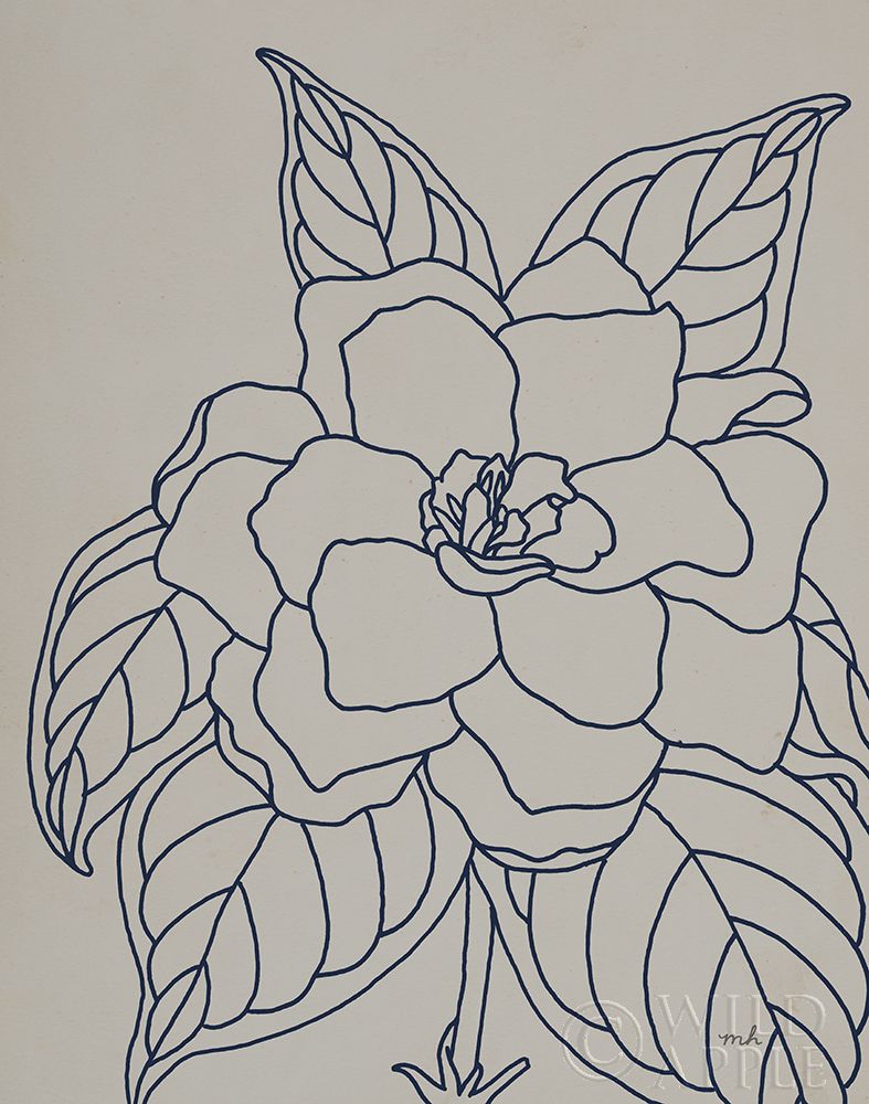 Wall art: Gardenia Line Drawing Gray Crop, by Hershey, Moira