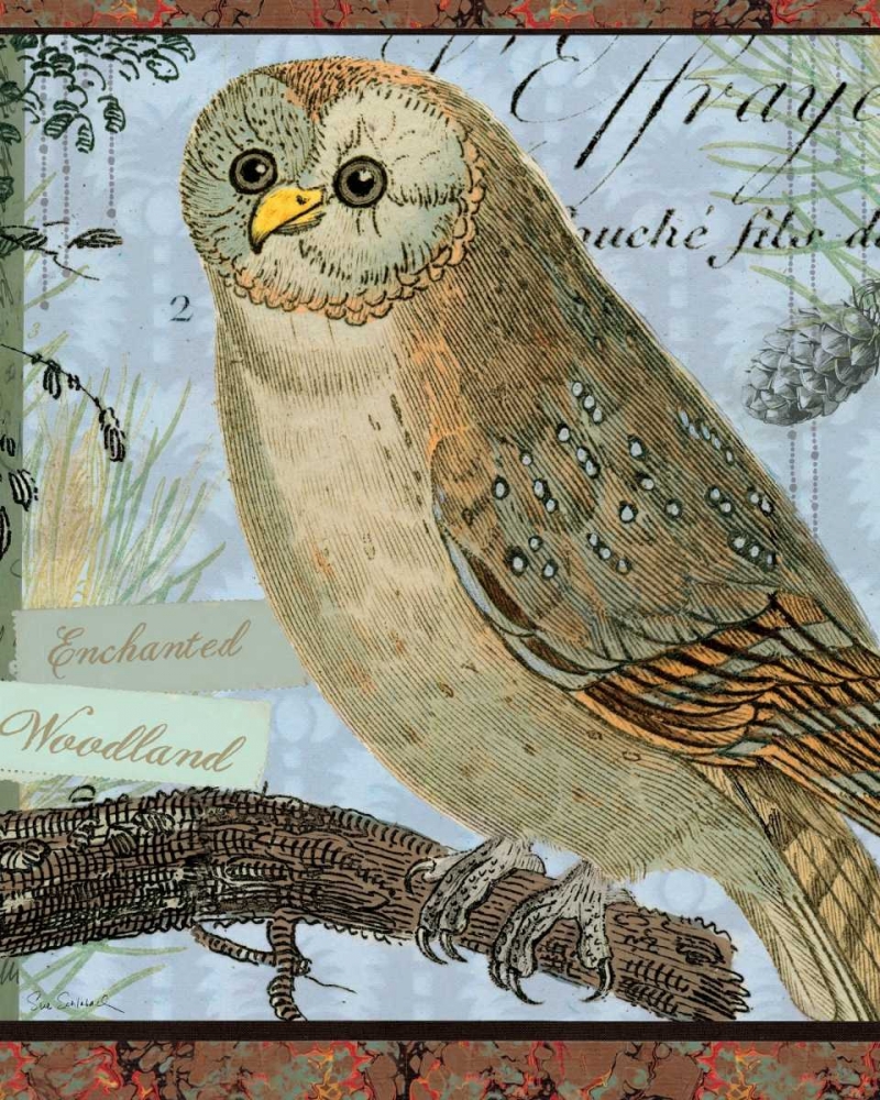 Wall Art Painting id:18898, Name: Enchanted Woodland, Artist: Schlabach, Sue