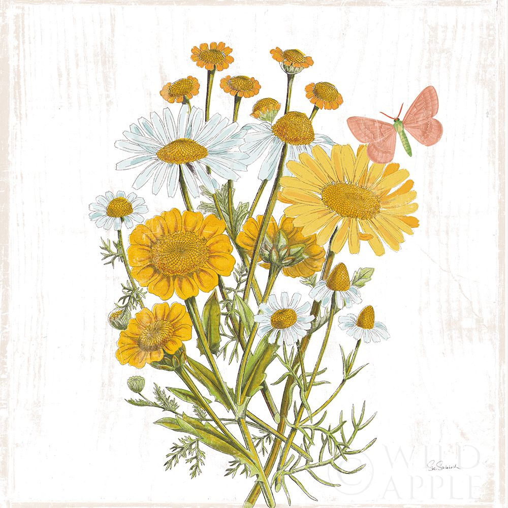 Wall Art Painting id:308630, Name: White Barn Flowers X Sq, Artist: Schlabach, Sue
