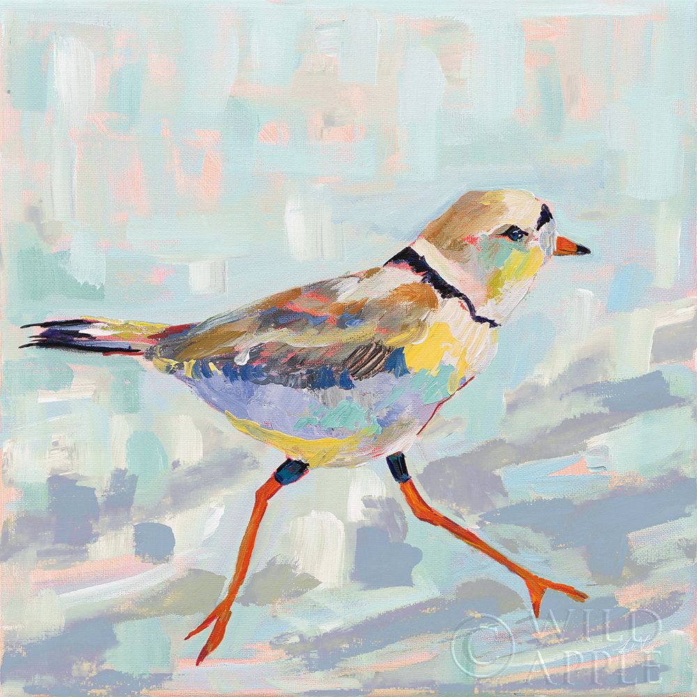 Art Print: Coastal Plover I Neutral