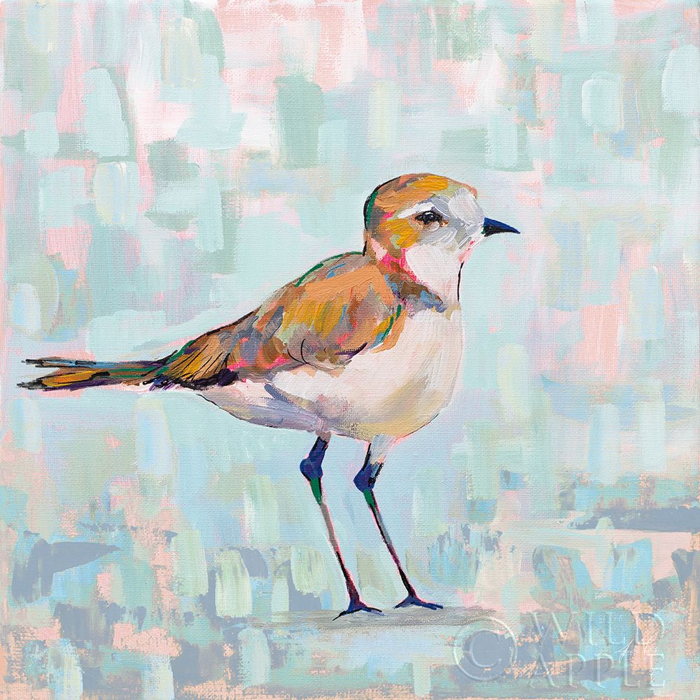 Art Print: Coastal Plover III Neutral