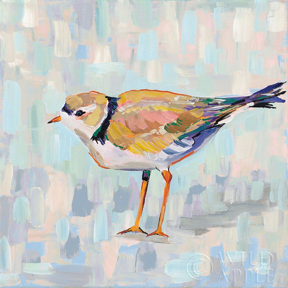 Art Print: Coastal Plover IV v2 Neutral