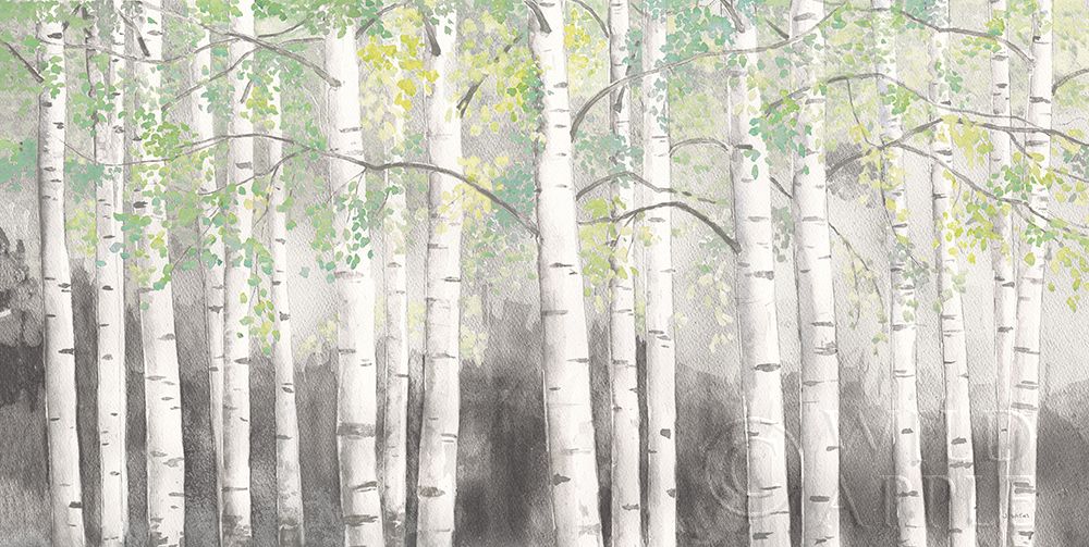 Wall Art Painting id:322576, Name: Soft Birches Charcoal, Artist: Wiens, James