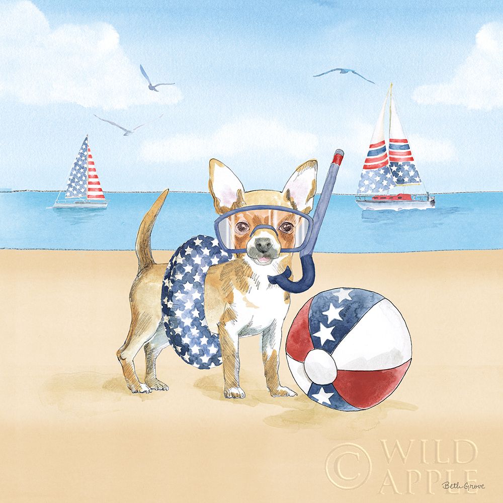 Art Print: Summer Paws Patriotic II