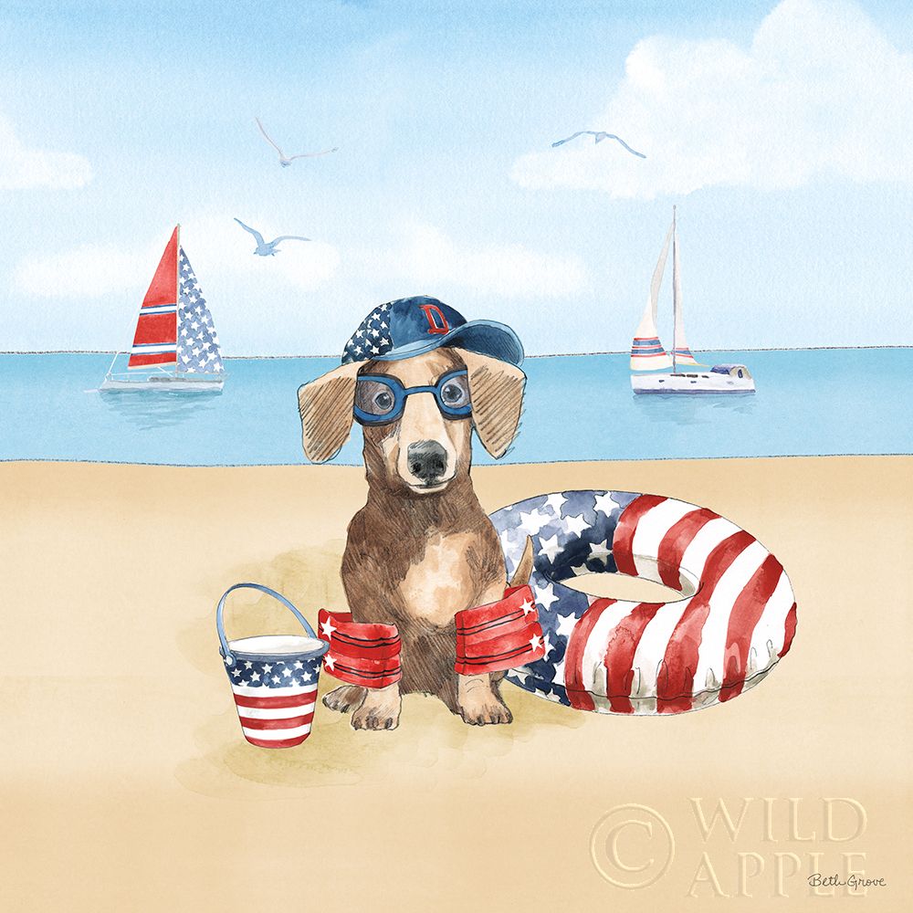Art Print: Summer Paws Patriotic III