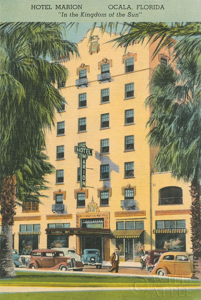 Wall Art Painting id:304541, Name: Florida Postcard V, Artist: Wild Apple Portfolio