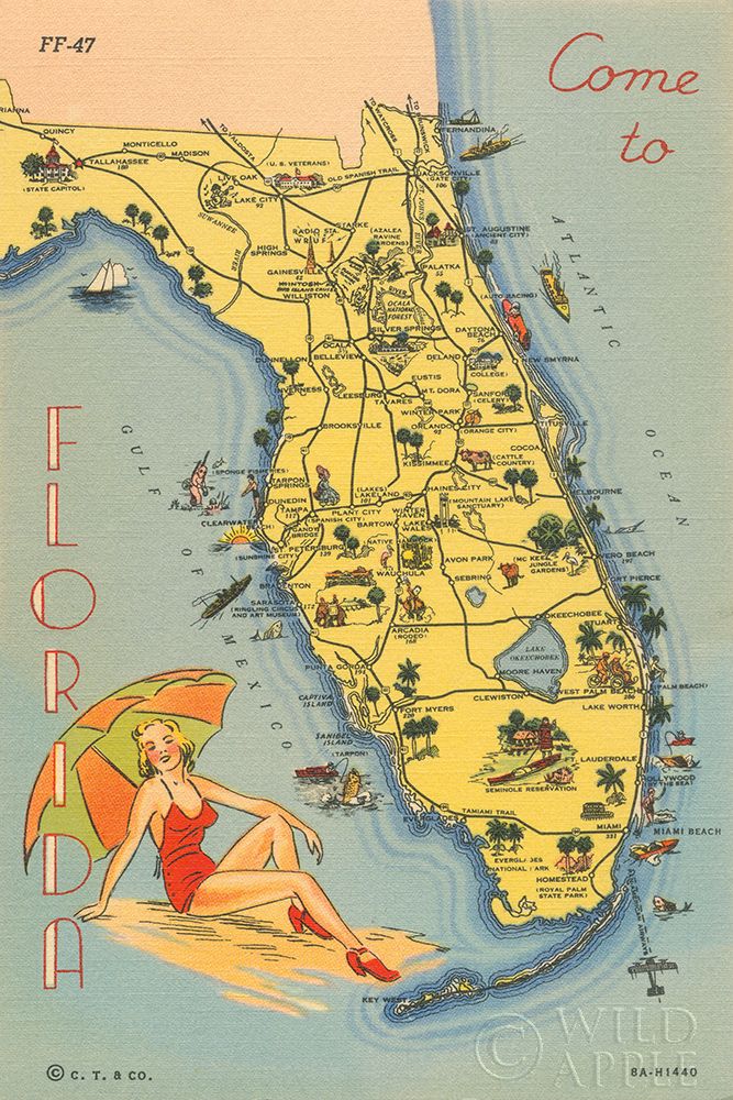 Wall Art Painting id:304540, Name: Florida Postcard VI, Artist: Wild Apple Portfolio