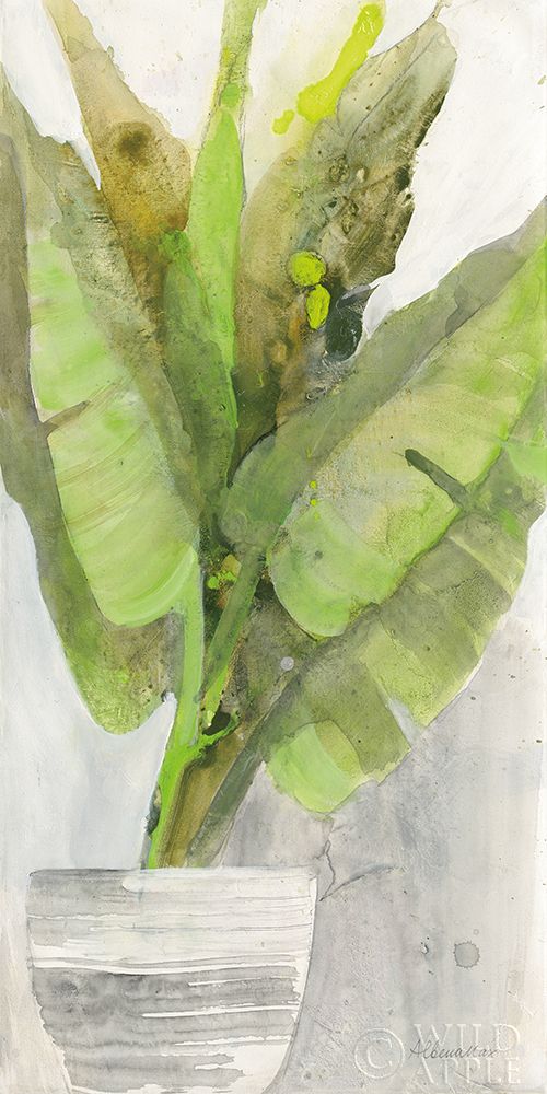 Wall art: Tropical Planter II, by Hristova, Albena