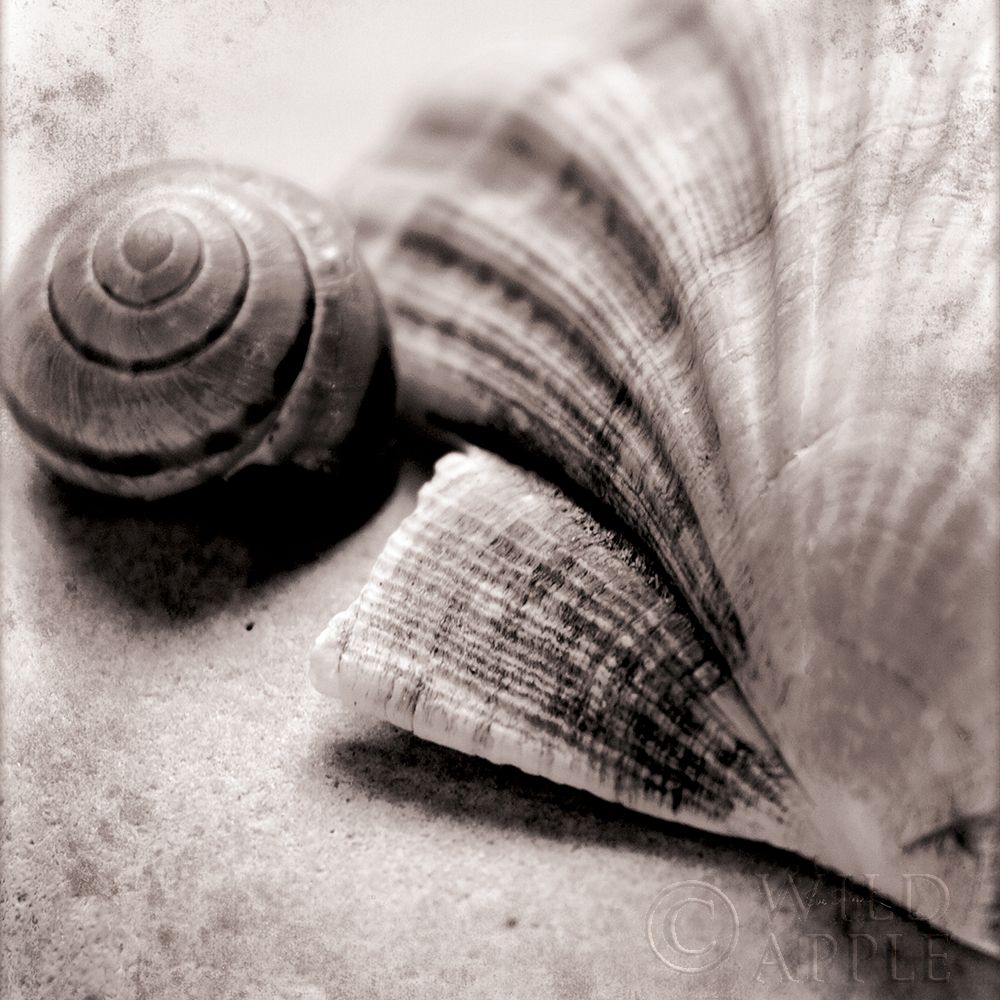 Similar wall art painting: 225939