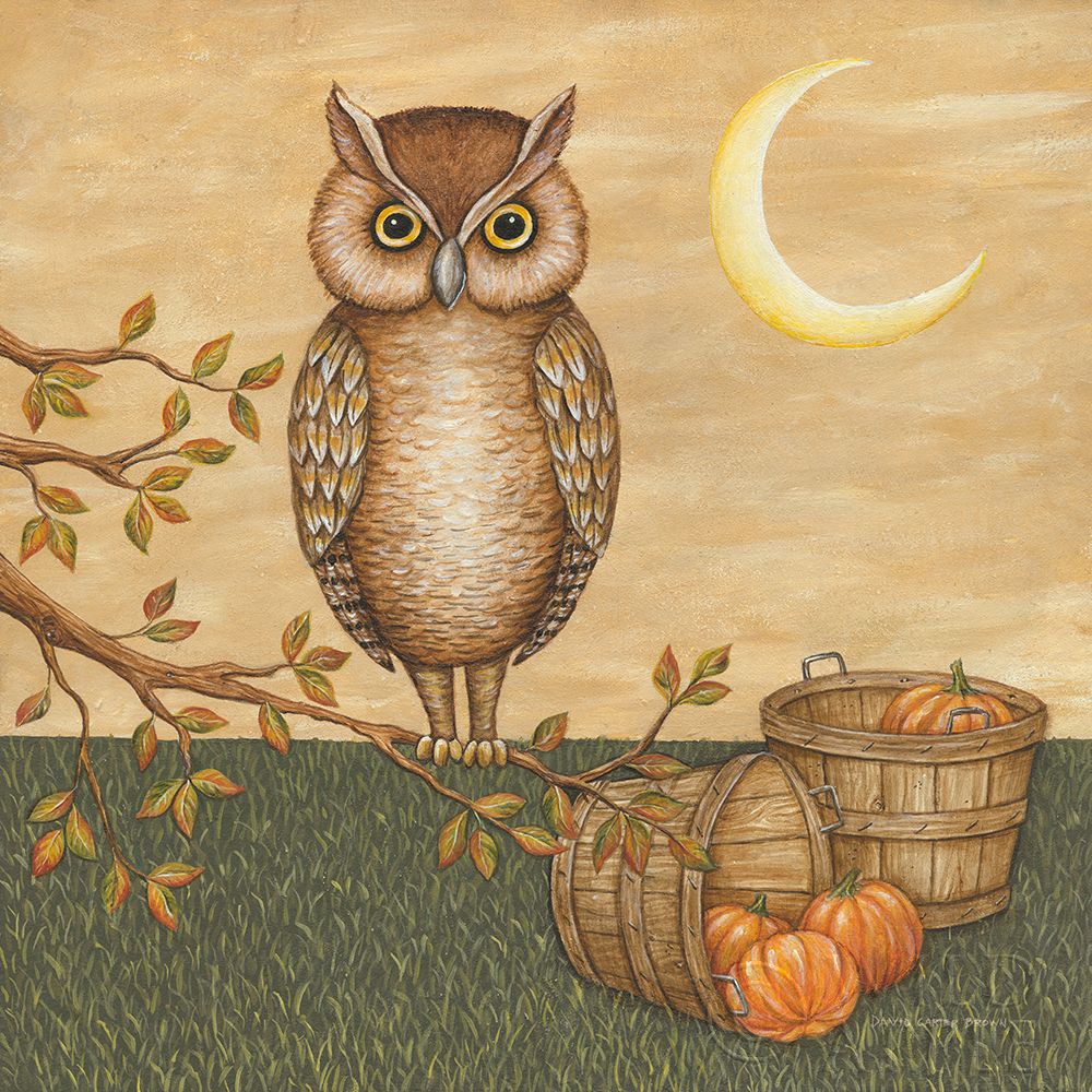 Wall Art Painting id:311882, Name: Halloween Owl, Artist: Brown, David Carter
