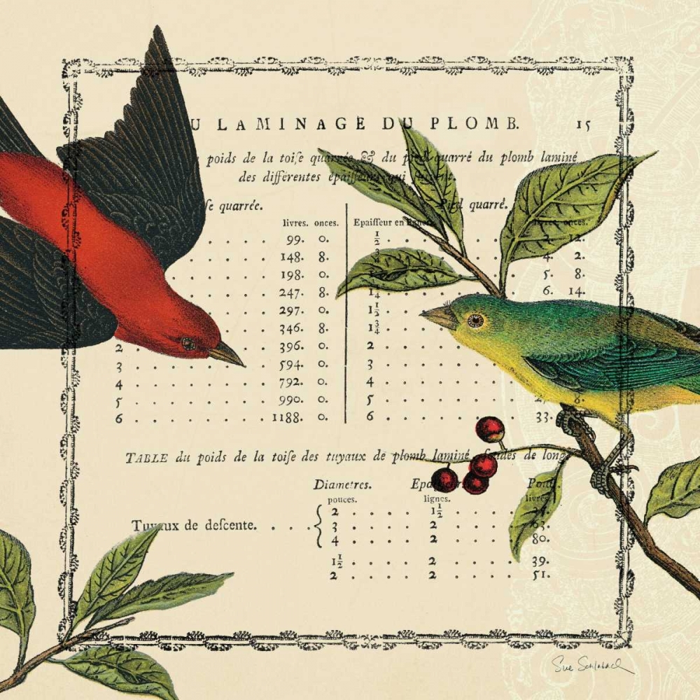 Wall Art Painting id:18125, Name: Summer Pages I, Artist: Schlabach, Sue