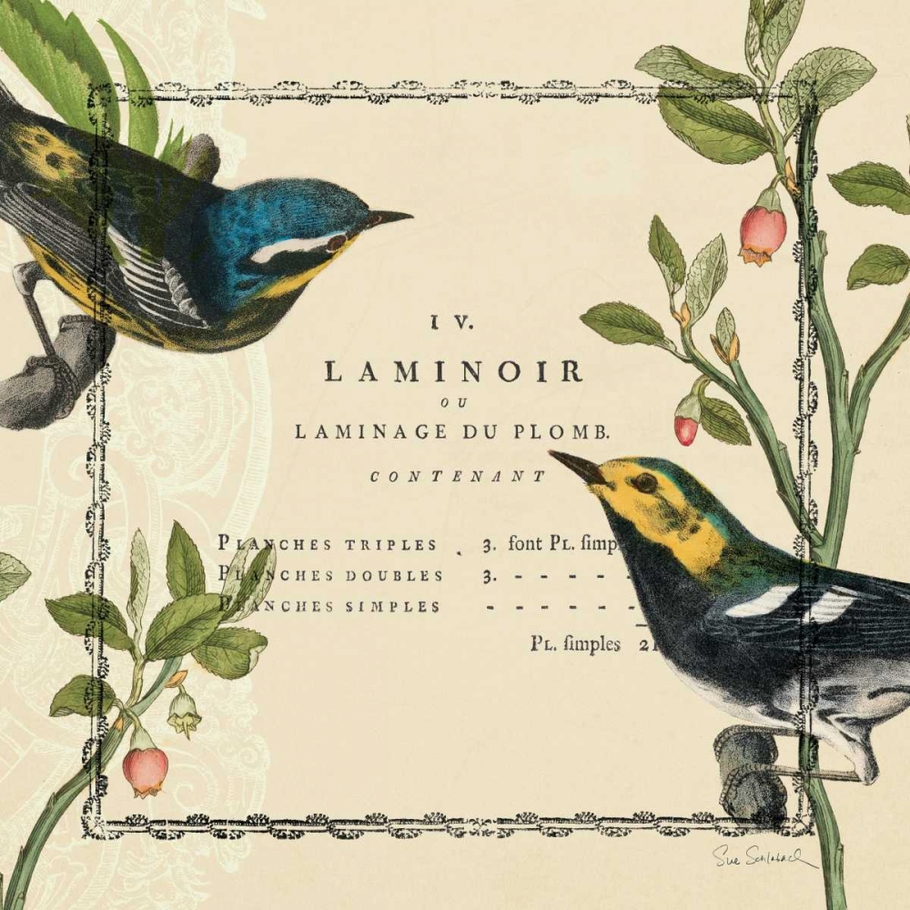 Wall Art Painting id:18126, Name: Summer Pages II, Artist: Schlabach, Sue