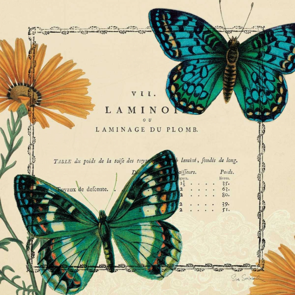 Wall Art Painting id:18127, Name: Summer Pages III, Artist: Schlabach, Sue