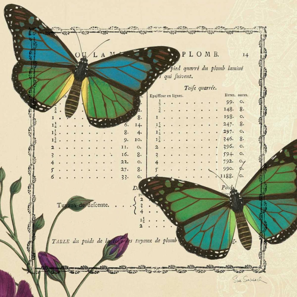 Wall Art Painting id:18128, Name: Summer Pages IV, Artist: Schlabach, Sue