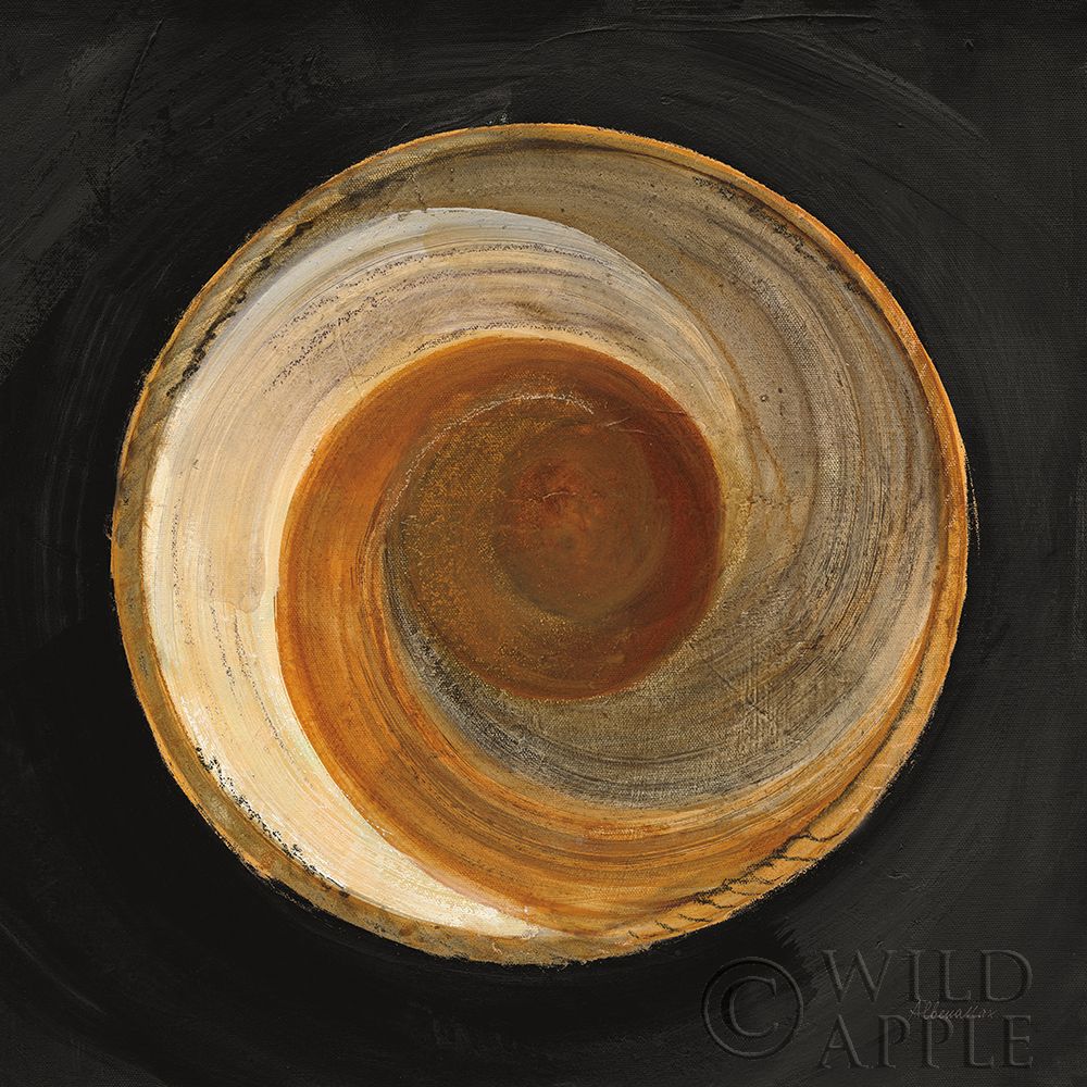 Wall Art Painting id:336096, Name: Woven Beauty I on Black, Artist: Hristova, Albena