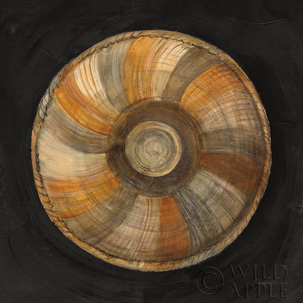 Wall Art Painting id:336097, Name: Woven Beauty II on Black, Artist: Hristova, Albena