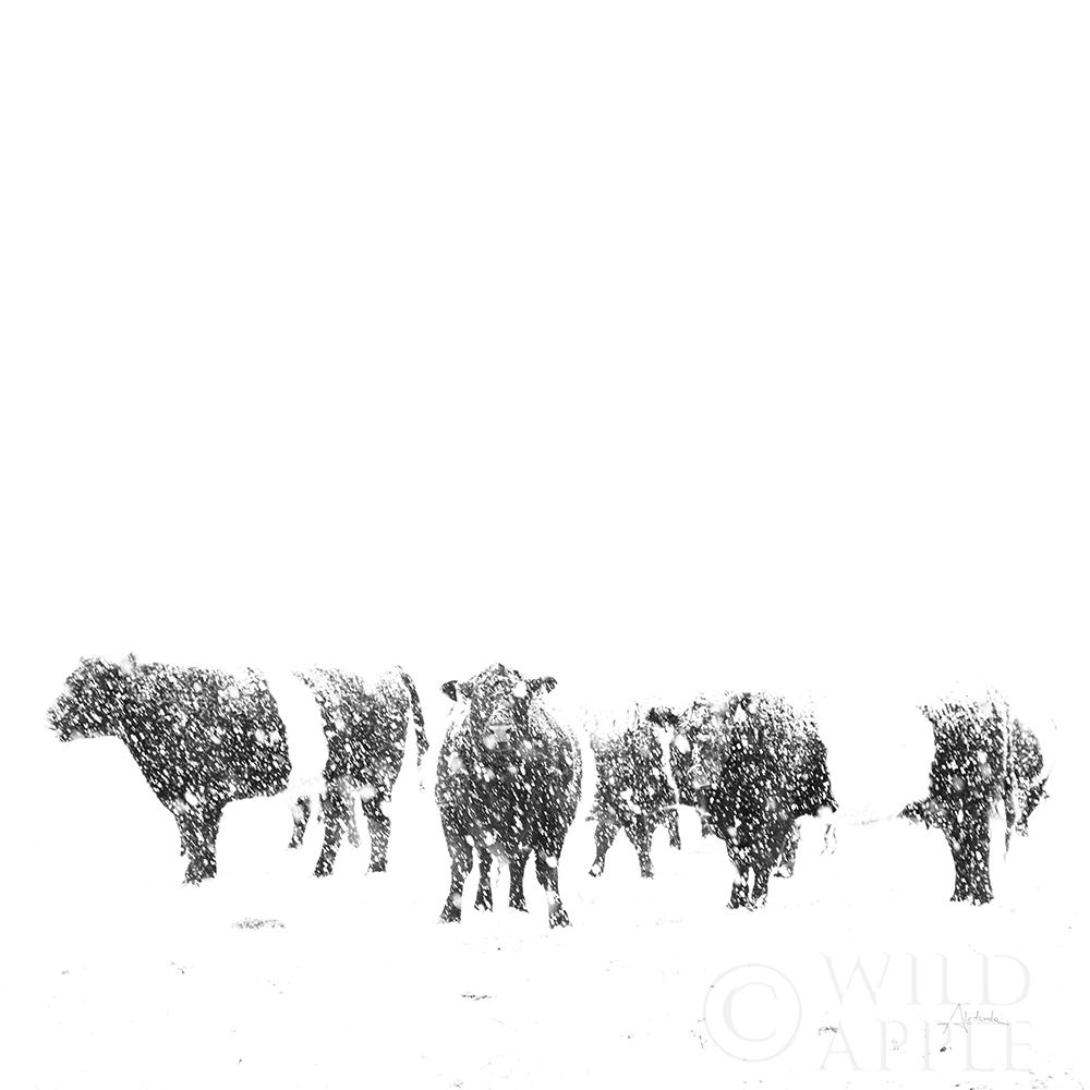 Art Print: Oreos and Milk II Sq