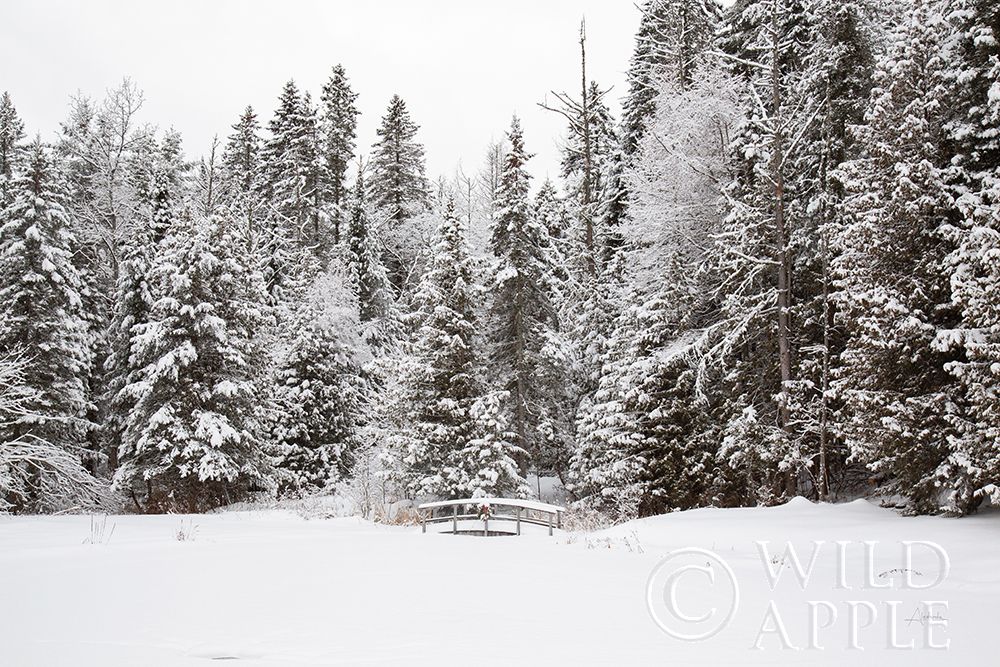 Art Print: Over the Bridge