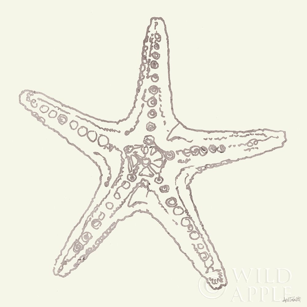 Art Print: Coastal Breeze Shell Sketches VI Silver