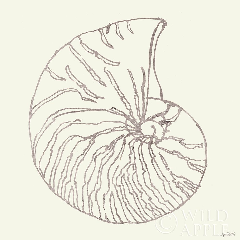 Art Print: Coastal Breeze Shell Sketches VII Silver