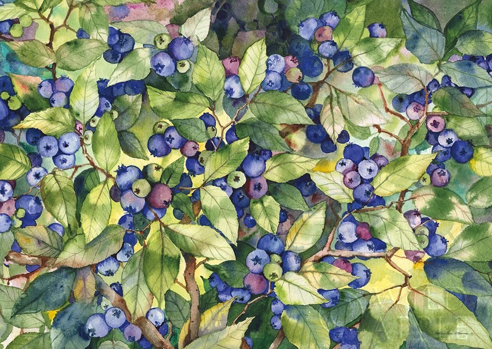 Art Print: Blueberries